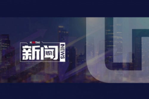 AI驱动新增长，扣非净利提升10%，3003.com官网数码2025一季度稳健开局